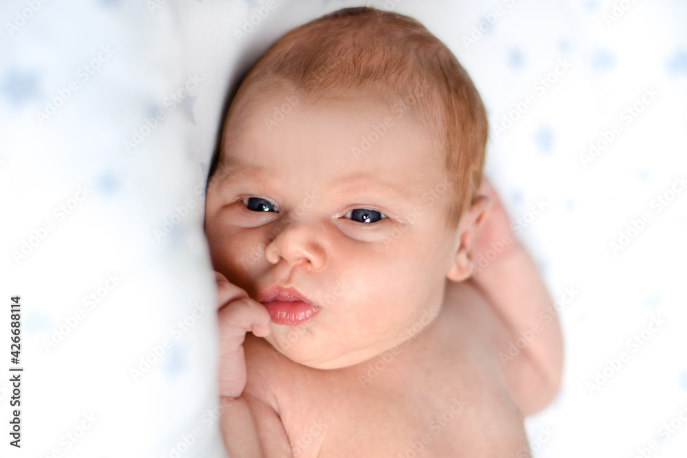 Closeup portrait of Newborn baby on white blanket. Soft focus. A two weeks old infant is sleeping tightly on her side in bed. 14 days old child. Closeup portrait of Newborn baby on white blanket. Soft focus. A two weeks old infant is sleeping tightly on her side in bed. 14 days old child.