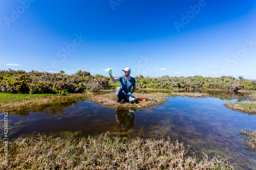 Scientist measuring environmental water quality parameters in a wetland.