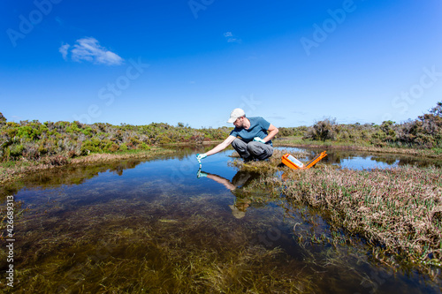 Scientist measuring environmental water quality parameters in a wetland.