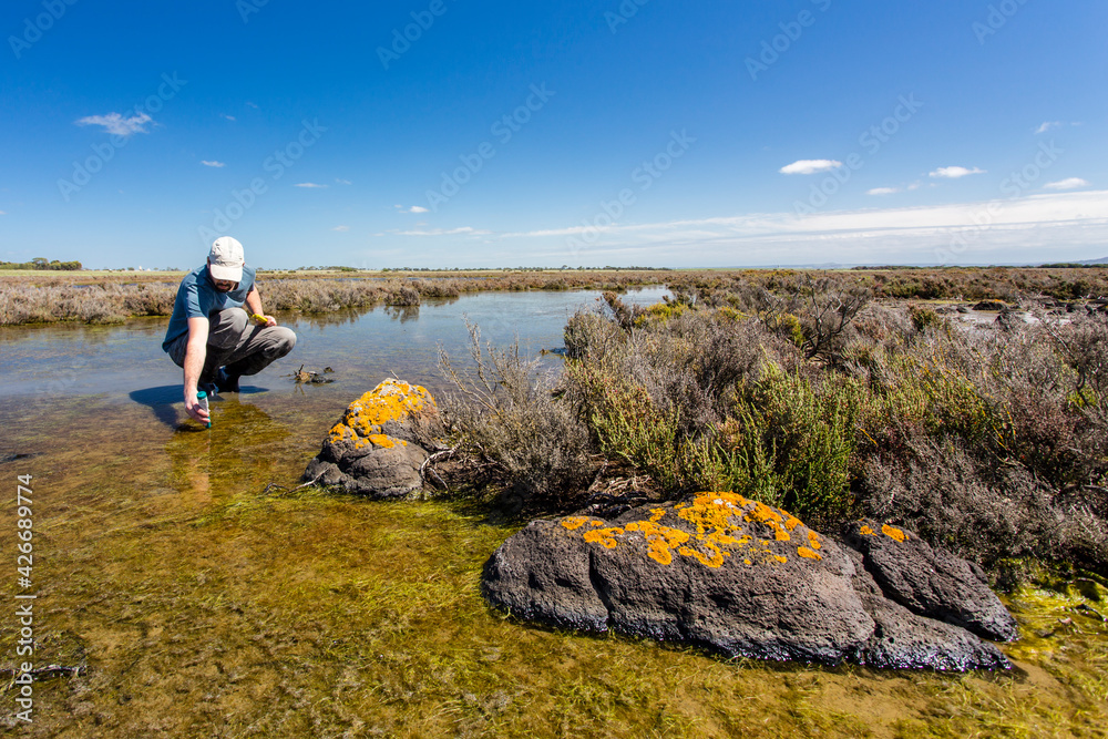 Fototapeta premium Scientist measuring environmental water quality parameters in a wetland.