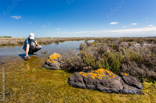 Scientist measuring environmental water quality parameters in a wetland.