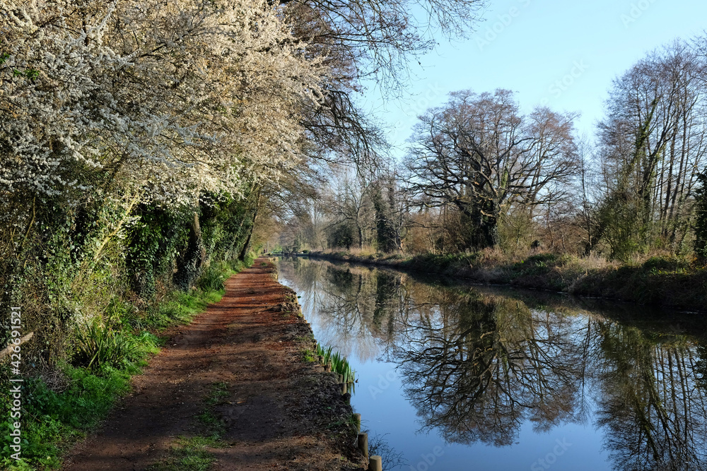 Towpath along the River Wey in Godalming, Surrey, UK Towpath along the River Wey in Godalming, Surrey, UK