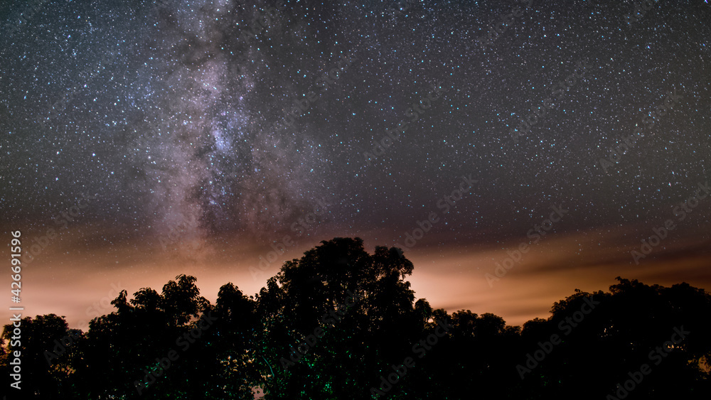 The night sky with visible galaxy and clouds running and trees The night sky with visible galaxy and clouds running and trees