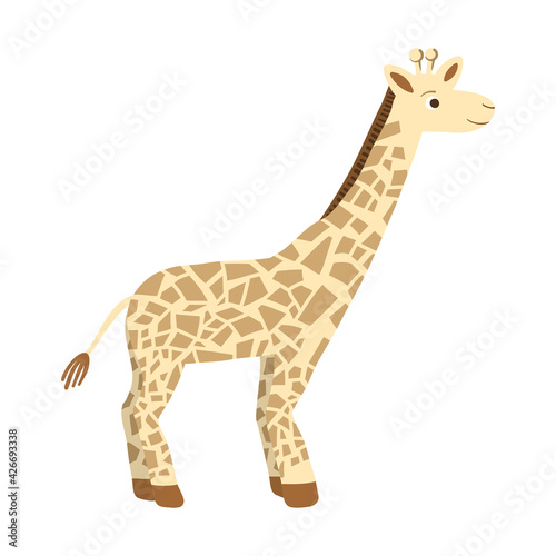 Baby giraffe vector flat illustration, cute animal