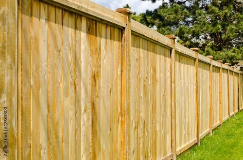 wooden fence with green lawn and trees photo