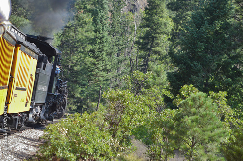The famous Durango - Silverton narrow gauge railroad. Train coaches and locomotive with steam on a curve in the green forest.
