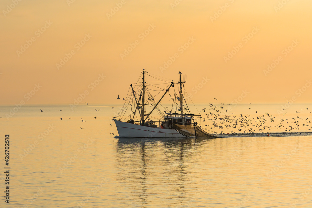 Fischkutter mit Schleppnetzen, begleitet von einem Schwarm Seemöwen, Büsum, Nordsee, Schleswig-Holstein, Deutschland