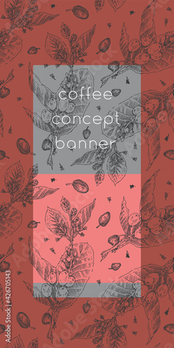 Vector template coffee banner design with floral pattern and seamless ornament. Engraving illustration of coffee branches in vintage style for coffee shop, coffee roasting. Vertical botanical pattern © Design Couple