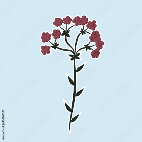 Hand drawn blooming flower. Burgundy berries. Abstract cartoon vector illustration of a flowering wild plant. Colored sticker design.