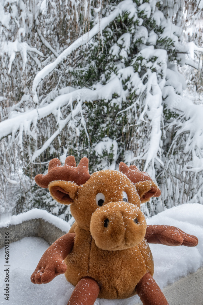 Moos doll on the balcony and snowy trees Moos doll on the balcony and snowy trees