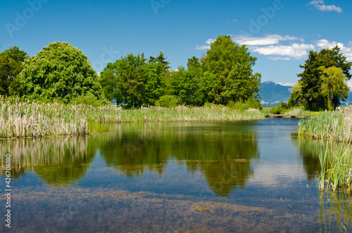 Nice Pond at West Dyke trail in Terra Nova Rural park, Vancouver, Canada. © karamysh