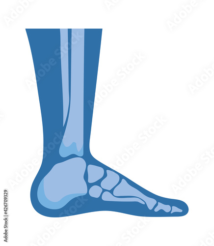 normal feet joints