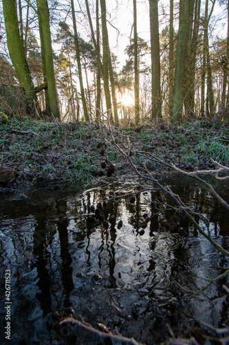 frozen river in the woods