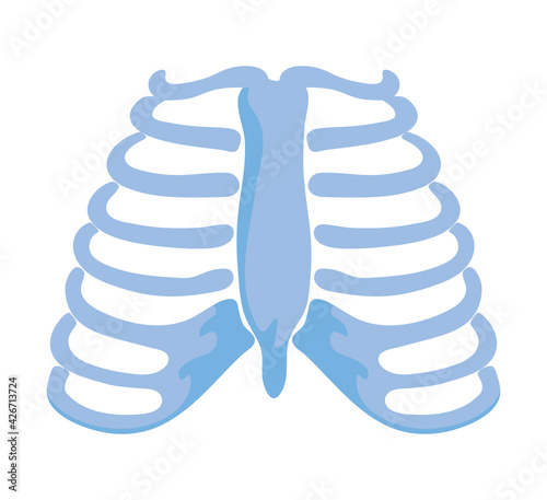 normal ribs joints