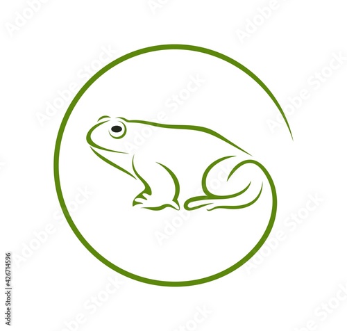 Frog outline. Abstract frog on white background. Bufo Common European Toad