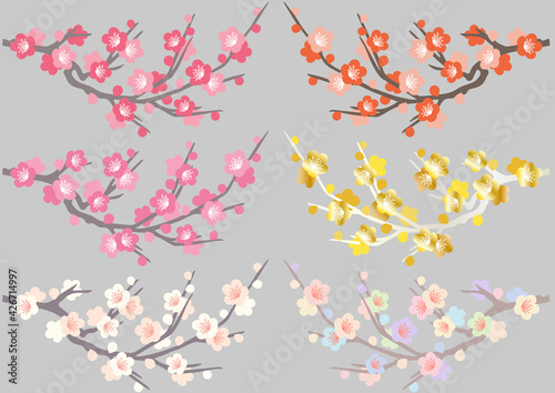 梅の花の素材集、カラーバリエーション、赤,ピンク,白,オレンジ色,金色,カラフル