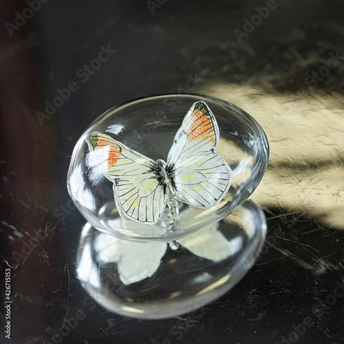 glass easter egg with butterfly inside on silver background