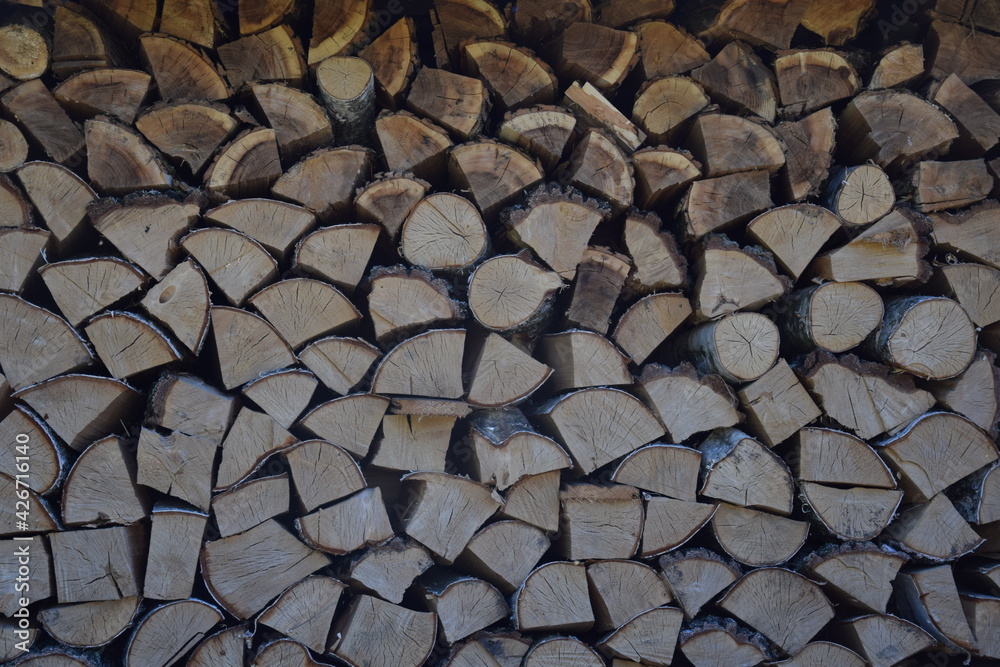 Obraz premium drewno