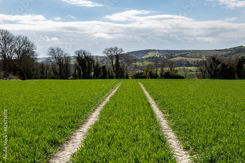 A Rural South Downs Landscape