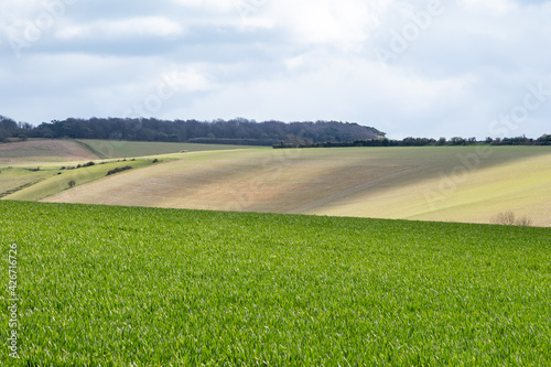 A Rural South Downs Landscape