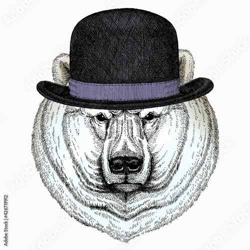 Polar bear head. Vector animal portrait. Bowler hat.