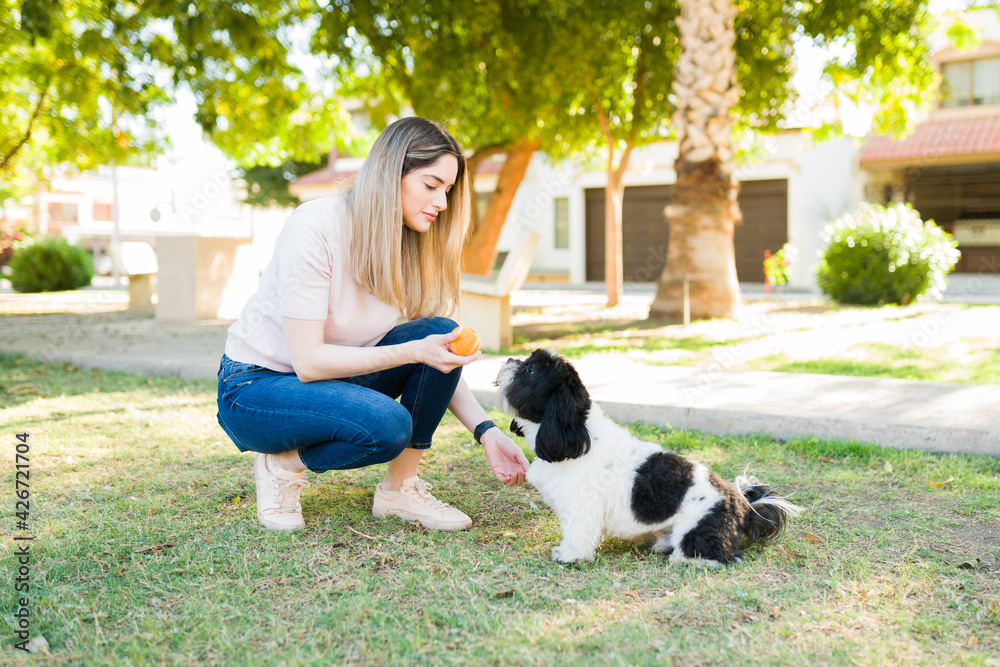 Attractive woman playing ball with her puppy Attractive woman playing ball with her puppy