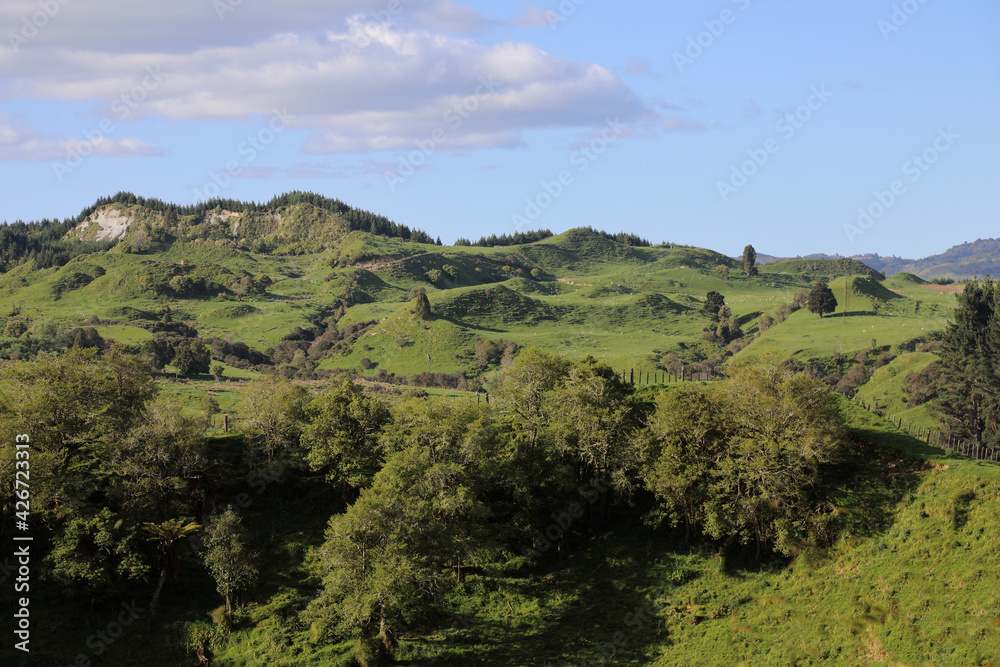 Fototapeta premium Neuseeland - Landschaft / New Zealand - Landscape