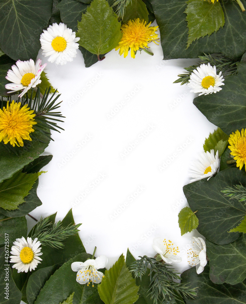 Blank postcard with a natural frame of leaves and flowers. Blank postcard with a natural frame of leaves and flowers.