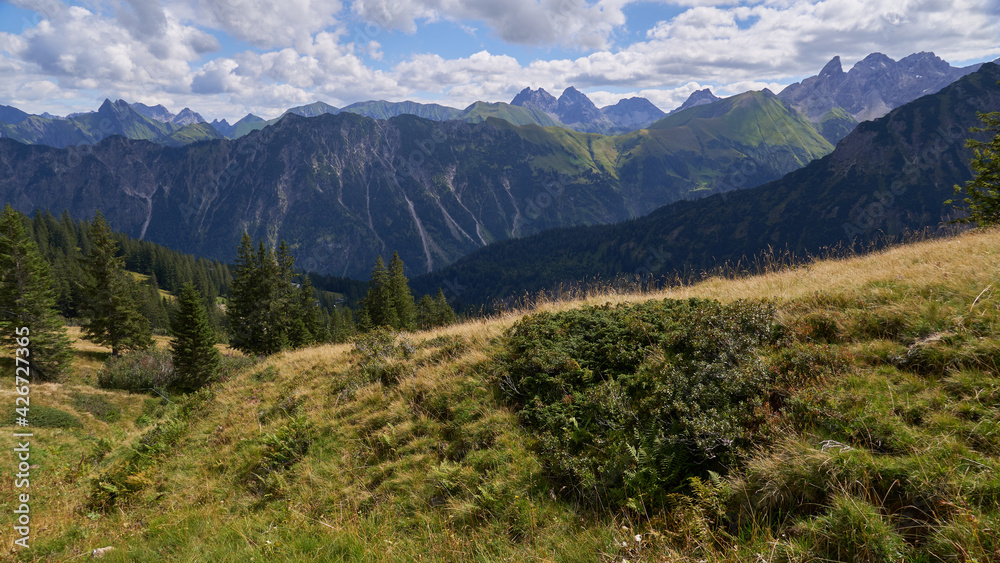 Blick vom Fellhorn auf die südlich gelegenen Gipfel der Allgäuer Alpen