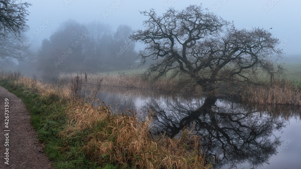 Misty conditions along the Tiverton Canal with trees and reflections Misty conditions along the Tiverton Canal with trees and reflections