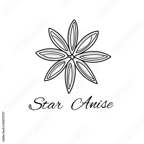 Star anise sketch.Spice.Black and white drawing.Coloring