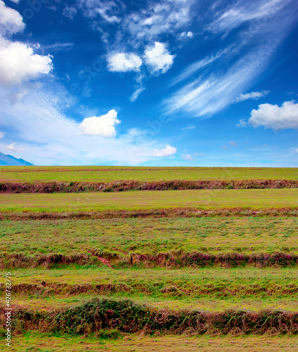 Meadows in France