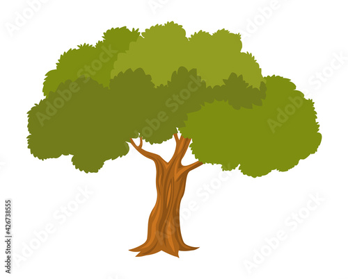 Big tree illustration