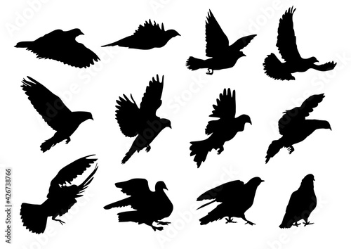 Set of silhouettes of pigeons Bird fly 001