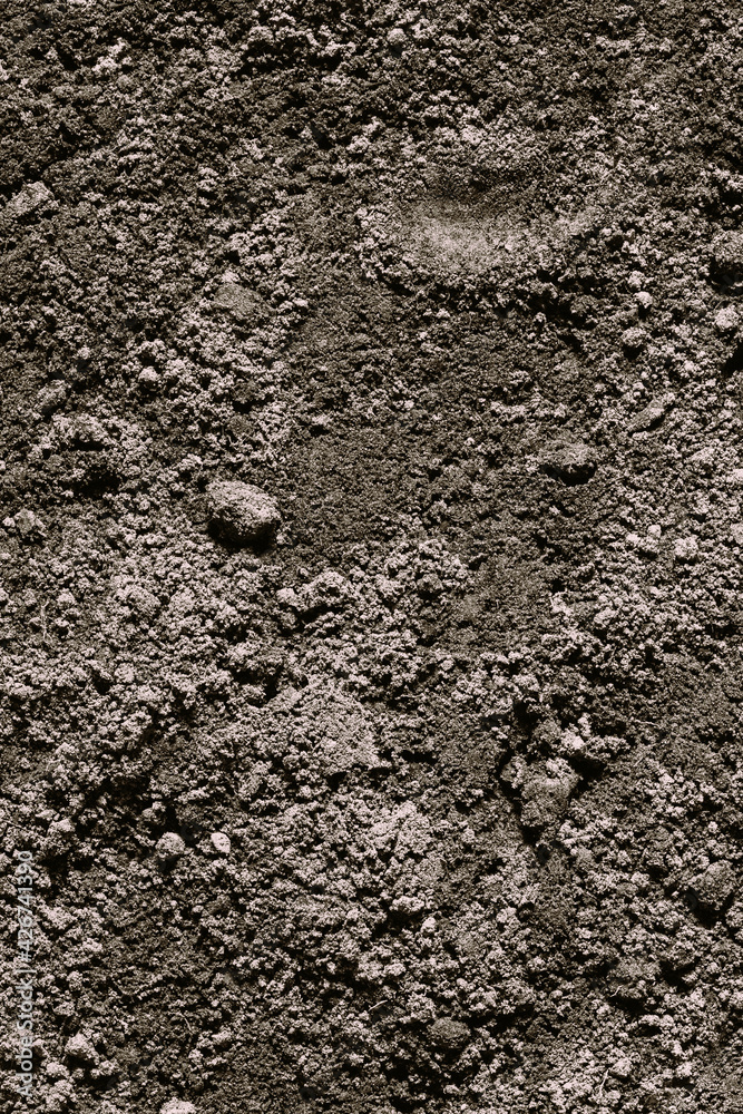 Black Dark Soil Dirt Background Texture, Natural Pattern. Flat Top View.