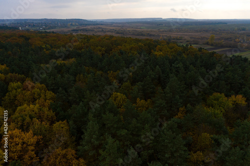 Autumn panorama of yellowed leaves, top view of the colorful forest that stretches across the territory of Ukraine.
