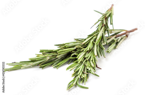 Fresh rosemary sprigs on a white background. Isolated