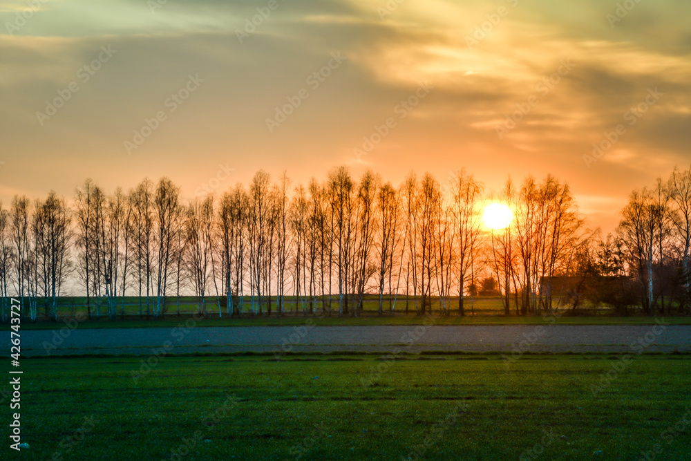 Obraz premium Sunset illuminating the spring fields. 