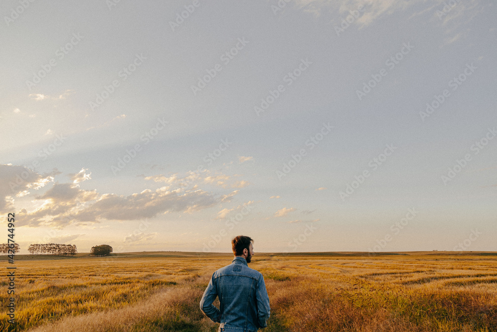 person in the field person in the field