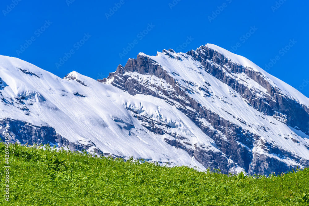 The Swiss Alps at Murren, Switzerland. Jungfrau Region. The valley of Lauterbrunnen from Interlaken.