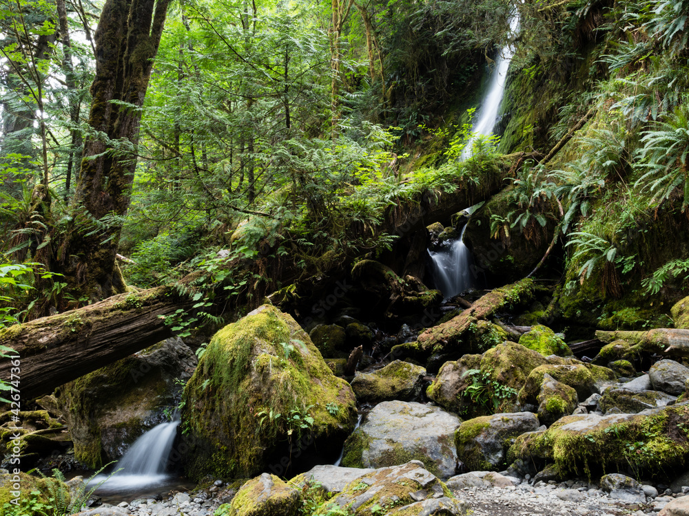 Merriman Falls in Lake Quinault valley - Olympic peninsula, WA, USA Merriman Falls in Lake Quinault valley - Olympic peninsula, WA, USA