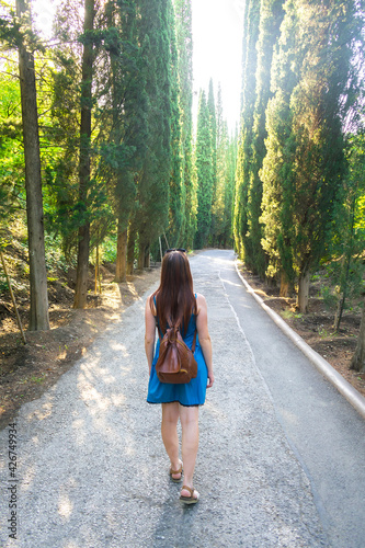 Sunbeams of sunlight shine through forest and lighting a pine trees, young girl walking hiking with backpack on road in park in summer