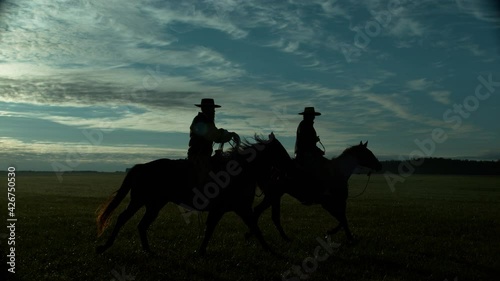 Riders Men Riding Stallions on Meadow Agriculture Landscape Together at Sunset. Guys Cowboys Ride Horses Outdoor Country Scape. Riders Walking on Agricultural Tracking Shot Slowmotion