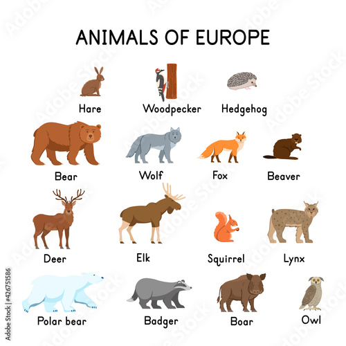 Animals of Europe : hare, woodpecker, hedgehog, bear, wolf, fox, beaver, deer, elk, squirrel, lynx, polar bear, owl, boar, badger on a white background.Flat cartoon. 