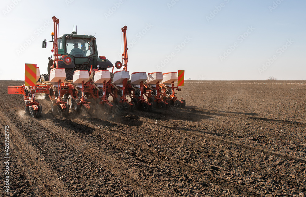 Fototapeta premium Farmer with tractor seeding crops at field