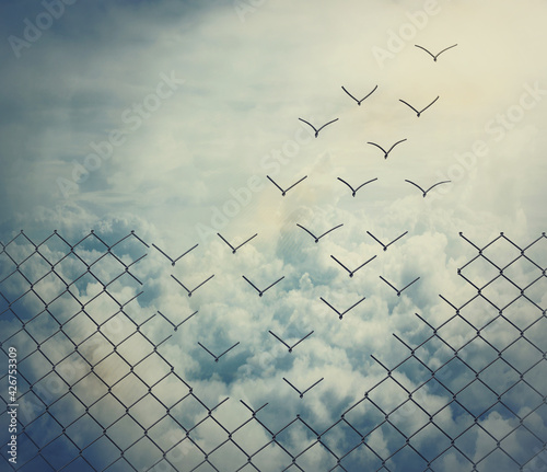 Surreal and magical escape as metallic wire mesh transforming into flying birds above the clouds. Overcoming obstacles together, teamwork concept. Freedom and success minimalist inspirational art.
