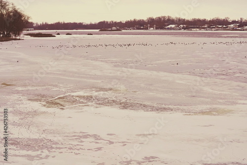 Winter landscape with trees and an ice-covered lake, toned image