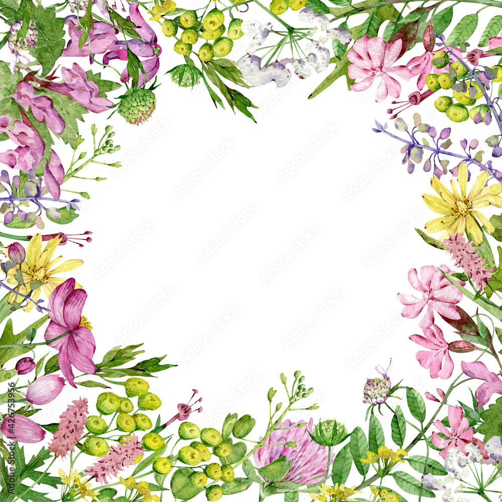 Fototapeta premium Watercolor square wildflowers frame. Field flowers template. Meadow herbs and flowers.