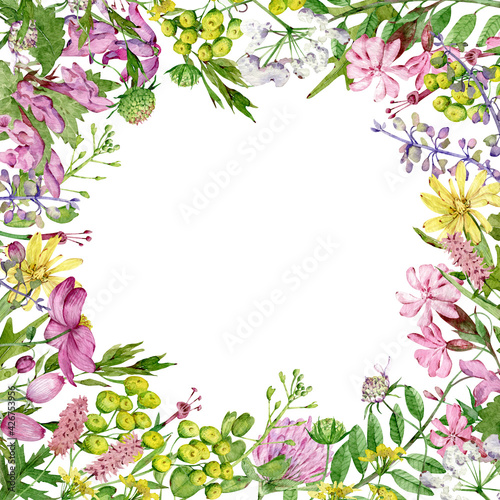 Watercolor square wildflowers frame. Field flowers template. Meadow herbs and flowers. © annakonchits