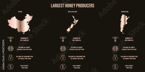Honey production in New Zealand, Argentina, China. World honey market infographics. Icon of a bee, beehive, money, jars of honey. Information about the largest producers of honey products.